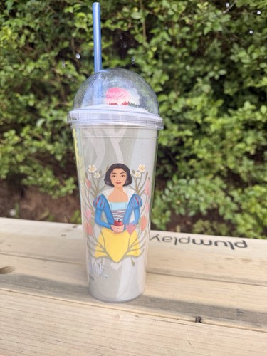 Disney goldenlink 20oz plastic - 20oz,