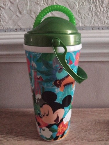 Disney waterpark mickey - waterpark,