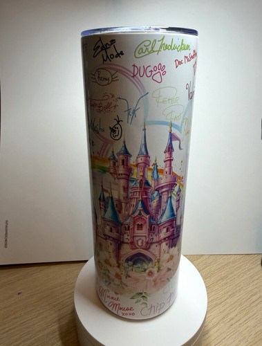 Disney signature castle 20oz - castle,