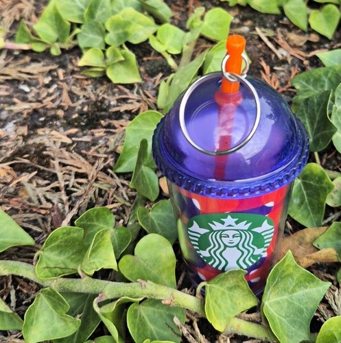 Starbucks summer plastic - summer,